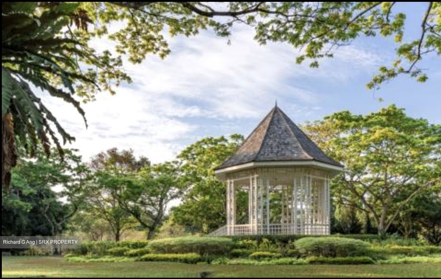 19 Nassim (D10), Apartment #431119841